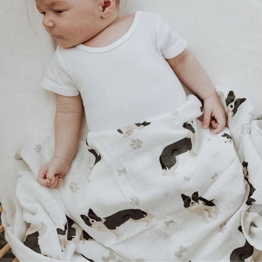 Border Collie | 6 Items + Gift - Smitten Bub Co.