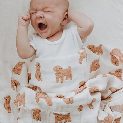 Cavoodle | 6 Items + Gift - Smitten Bub Co.