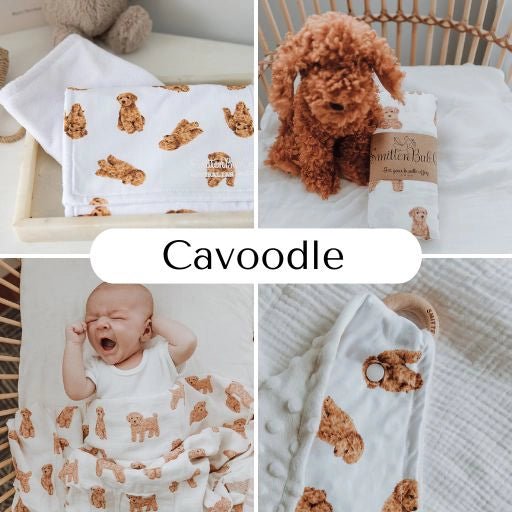 Cavoodle | 6 Items + Gift - Smitten Bub Co.