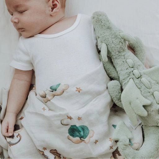 Dragon | 6 Items + Gift - Smitten Bub Co.