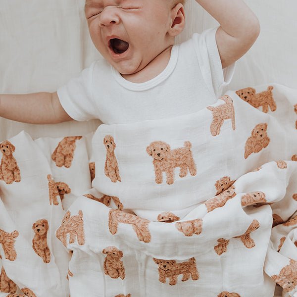 Cavoodle Bamboo Cotton Muslin Wrap - Smitten Bub Co.
