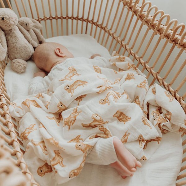 Golden Retriever | 6 Items + Gift - Smitten Bub Co.