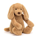 Jellycat Bashful Toffee Puppy HUGE - Smitten Bub Co.