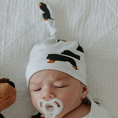 Dachshund Beanie - Smitten Bub Co.
