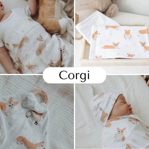 Corgi | 6 Items + Gift