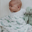 Whales & Turtles | 5 Items + Gift - Smitten Bub Co.